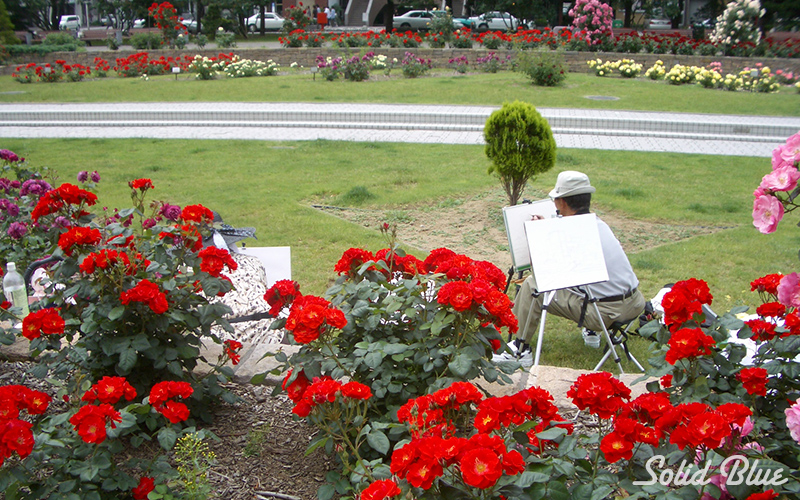ここにもスケッチする人が。
