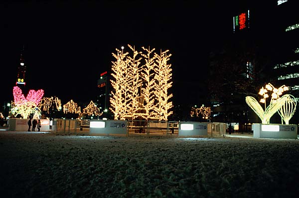 ライラック、並木、スズランを型どったイルミネーションが美しい。