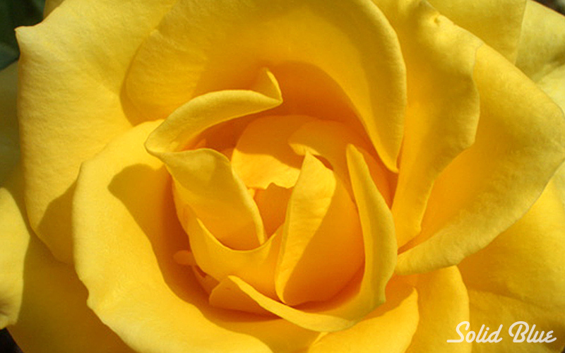 チザキバラ園にて。（平成21年10月に閉園）