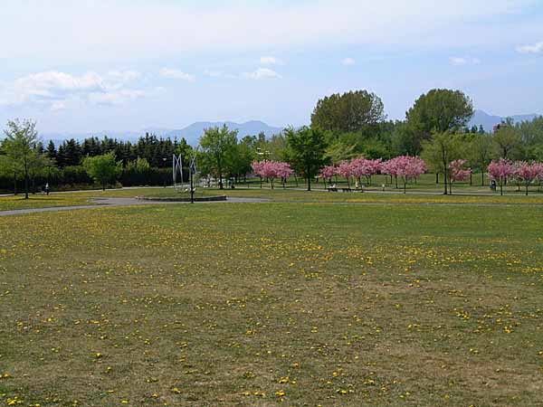 公園に着くなり、後続車の運転者に「すいません、ここ百合が丘公園ですか」と聞かれて見ると練馬ナンバーだった。　2002.05.14　撮影
